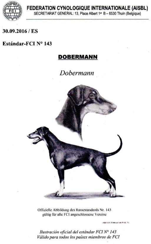 Captura de pantalla de 2021 01 17 10 47 45