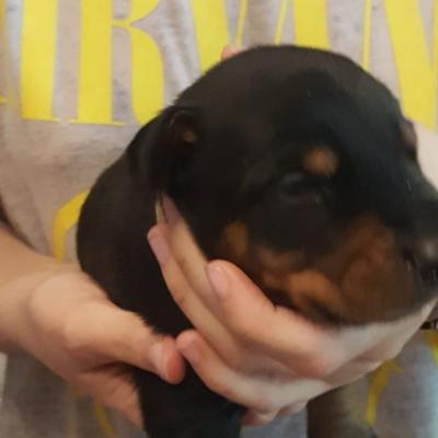 20010509 6841 4118 81eb 51bba0e64370