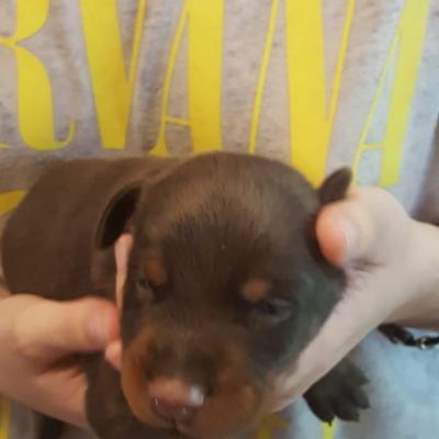 521fa2a6 E93a 4ae5 8c30 Dc384d3e6c60