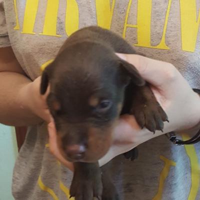 8e5491d8 17dd 4077 B5aa 876d49f2f0a3