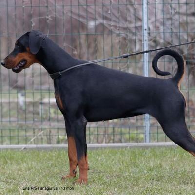 Fb Img 1588614389293