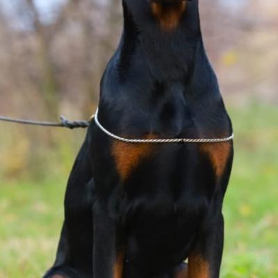 Imagen De Whatsapp 2025 09 09 A Las 17.16.02 A0b15709